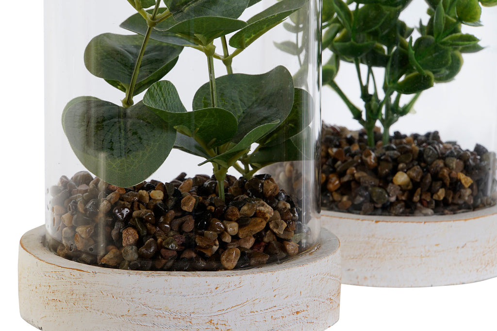 PACK DE 4 PLANTA PE CRISTAL 12X12X18 2 SURT.