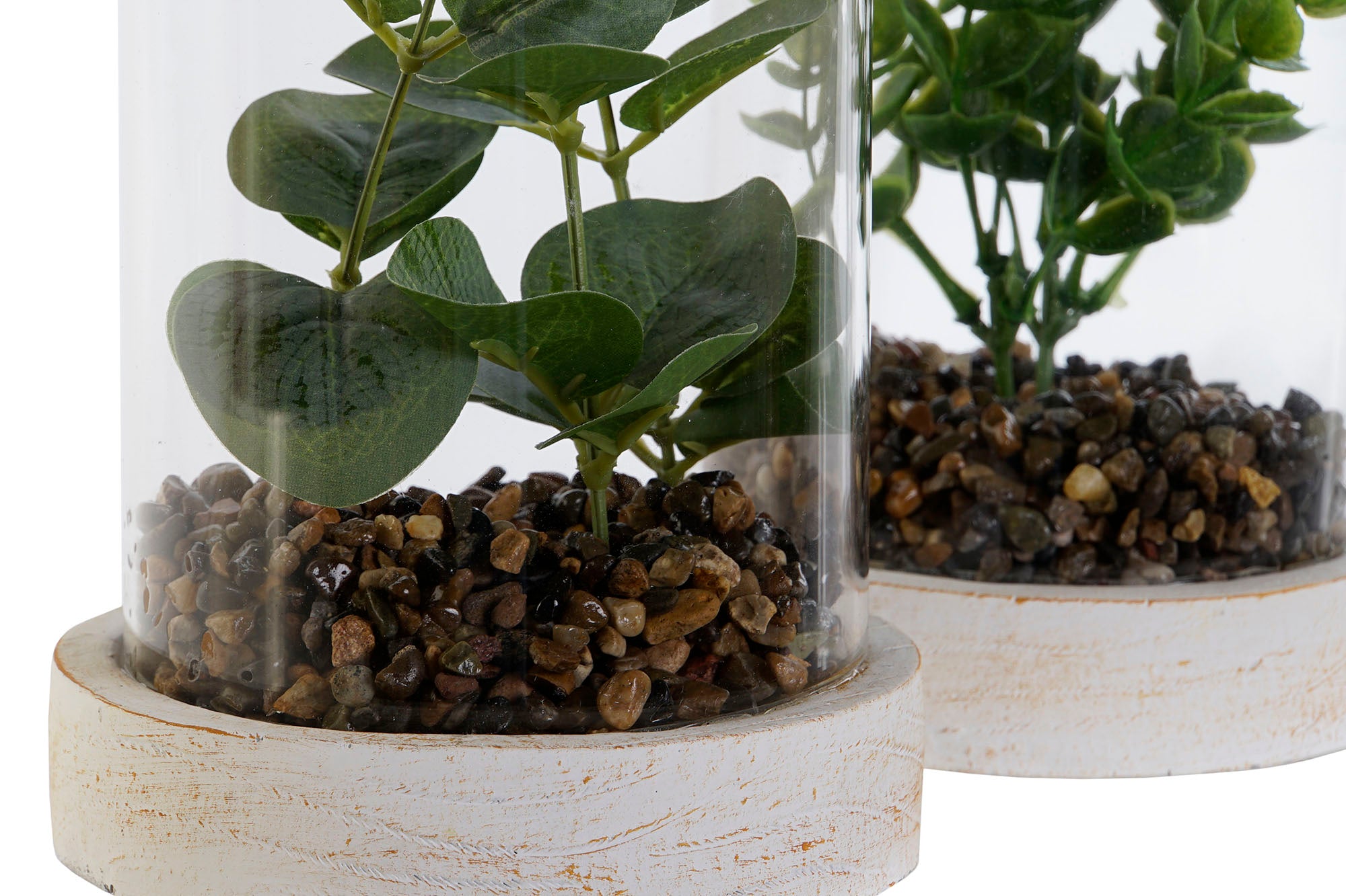 PACK DE 4 PLANTA PE CRISTAL 12X12X18 2 SURT.