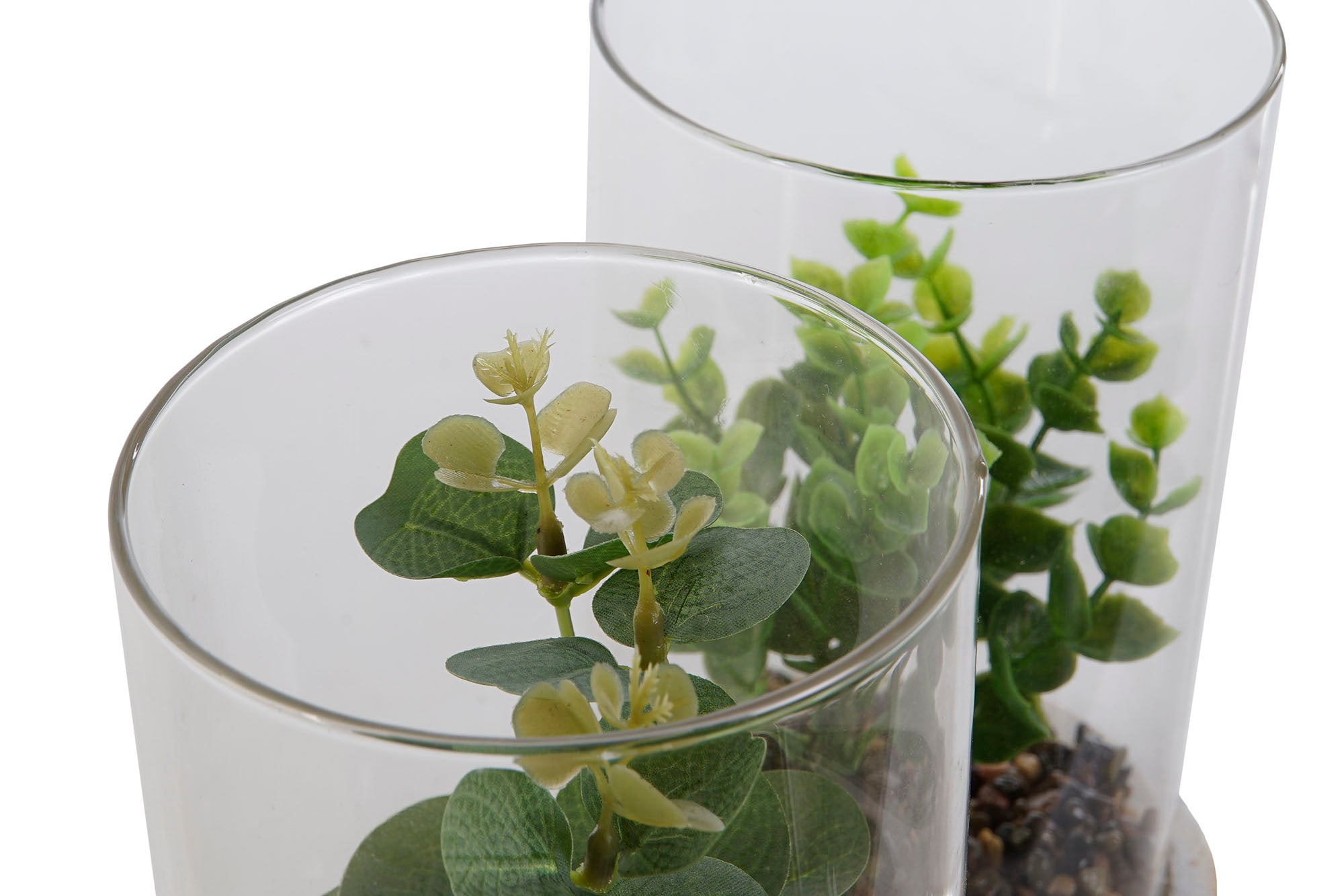 PACK DE 4 PLANTA PE CRISTAL 12X12X18 2 SURT.