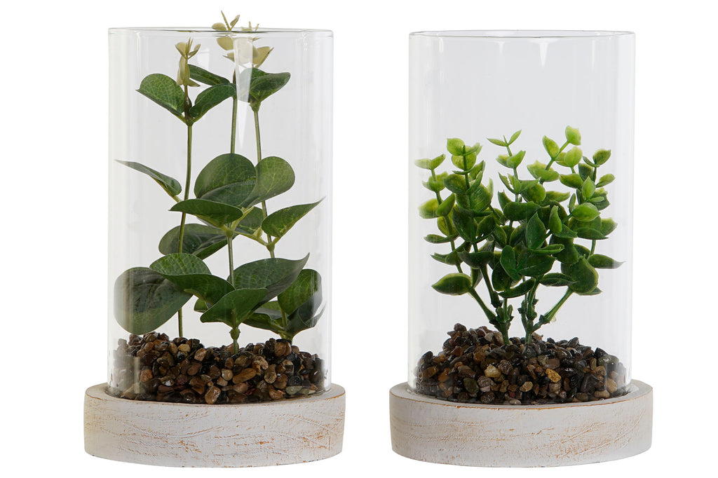 PACK DE 4 PLANTA PE CRISTAL 12X12X18 2 SURT.