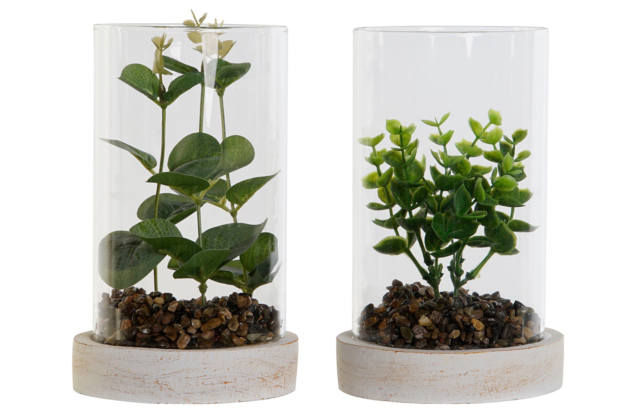 PACK DE 4 PLANTA PE CRISTAL 12X12X18 2 SURT.