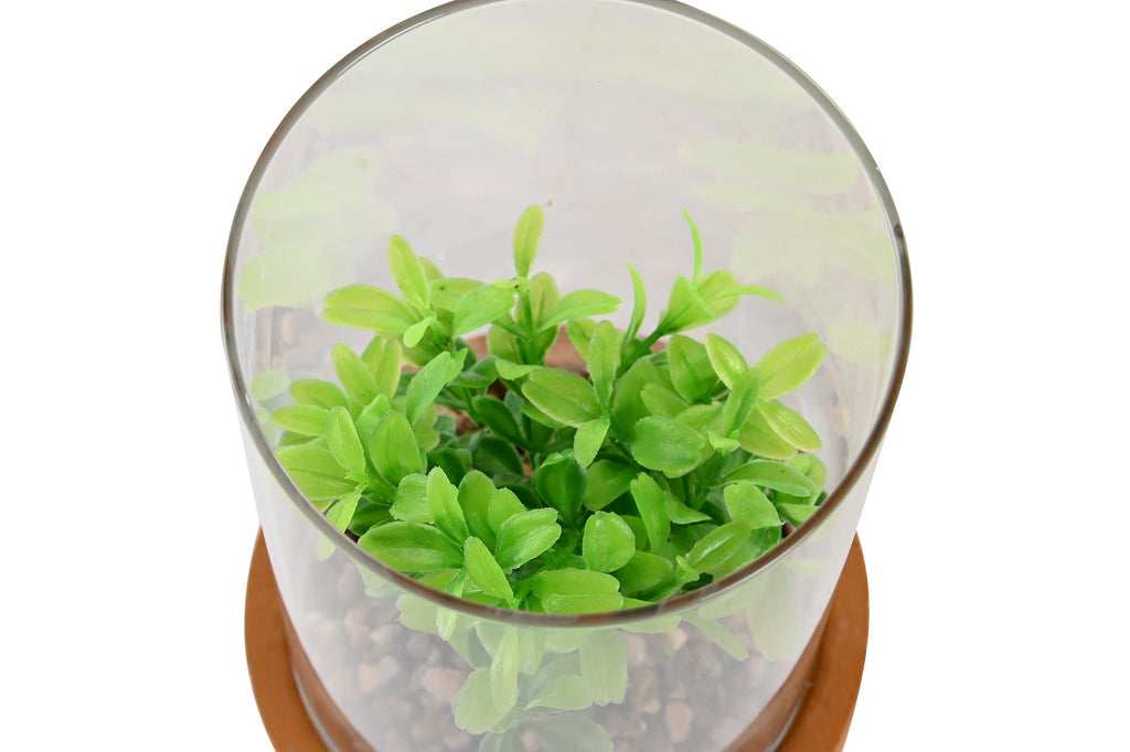 PACK DE 4 PLANTA PE CRISTAL 12X12X18 2 SURT.