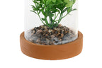 PACK DE 4 PLANTA PE CRISTAL 12X12X18 2 SURT.