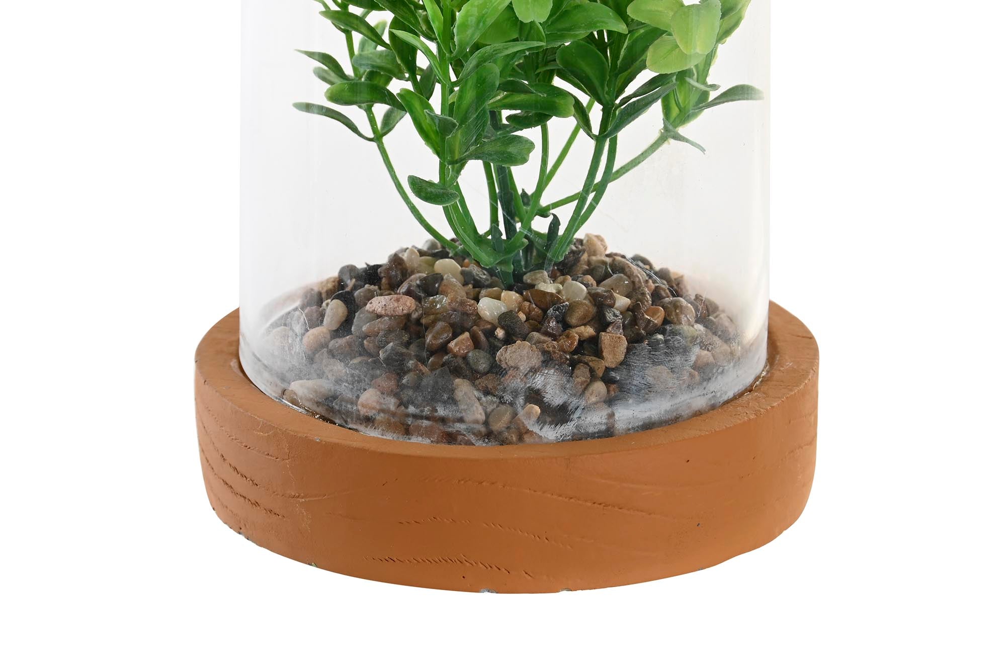 PACK DE 4 PLANTA PE CRISTAL 12X12X18 2 SURT.