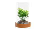 PACK DE 4 PLANTA PE CRISTAL 12X12X18 2 SURT.