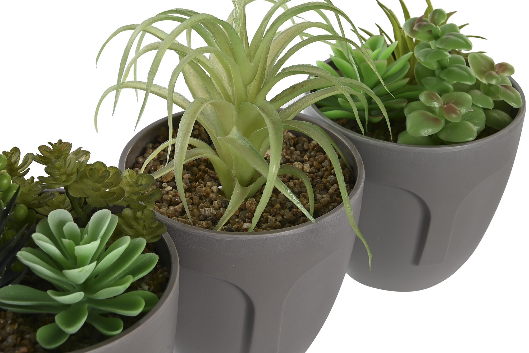 PACK DE 3 PLANTA PP PE 11X11X15 CARA 3 SURT.