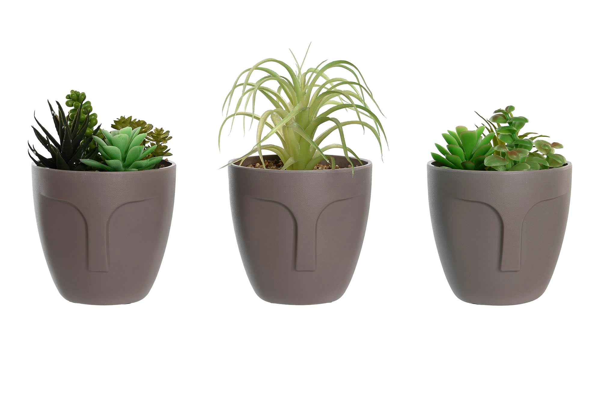 PACK DE 3 PLANTA PP PE 11X11X15 CARA 3 SURT.