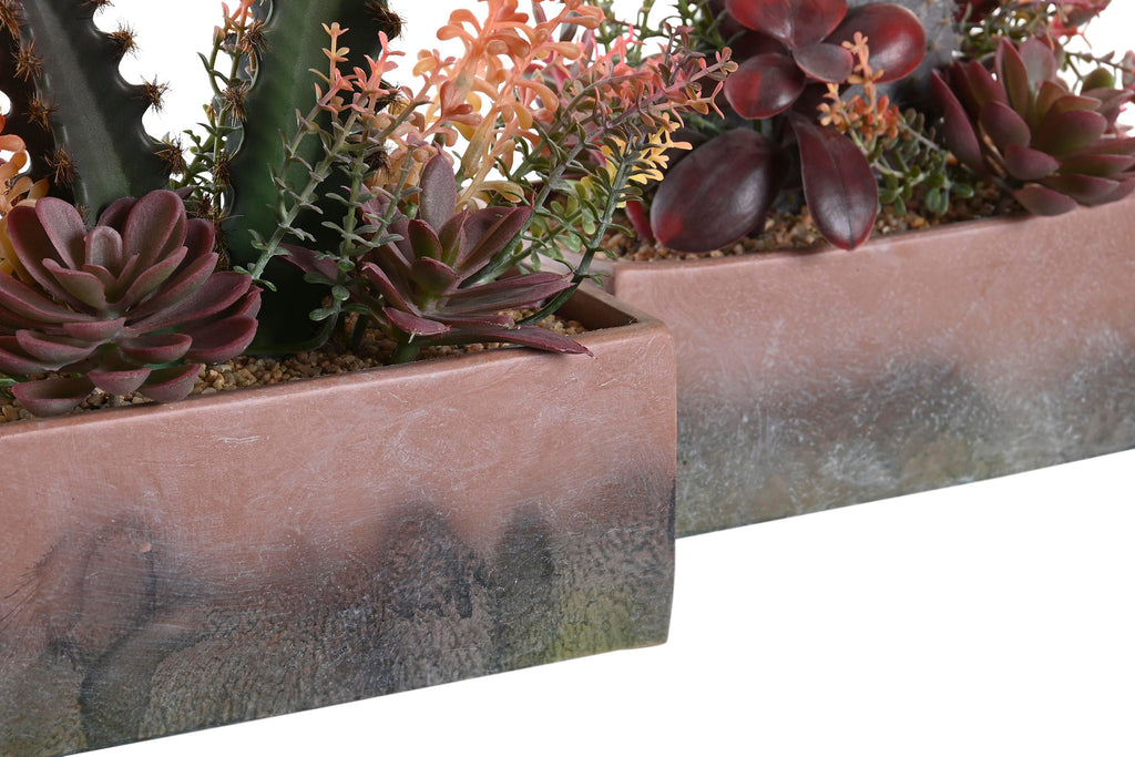 PACK DE 2 PLANTA PP EVA 19X9X22 CACTUS 2 SURT.