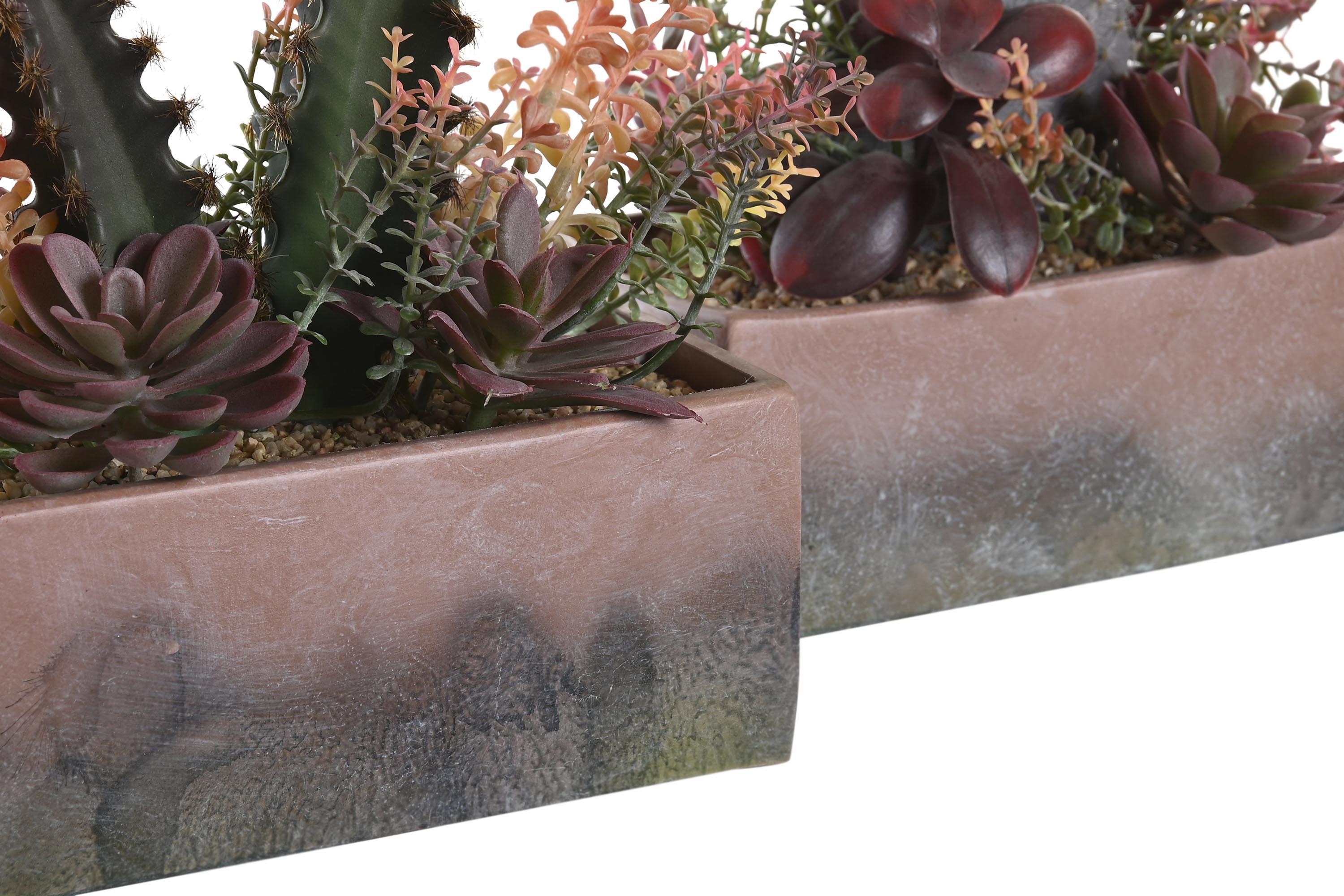 PACK DE 2 PLANTA PP EVA 19X9X22 CACTUS 2 SURT.