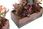 PACK DE 2 PLANTA PP EVA 19X9X22 CACTUS 2 SURT.