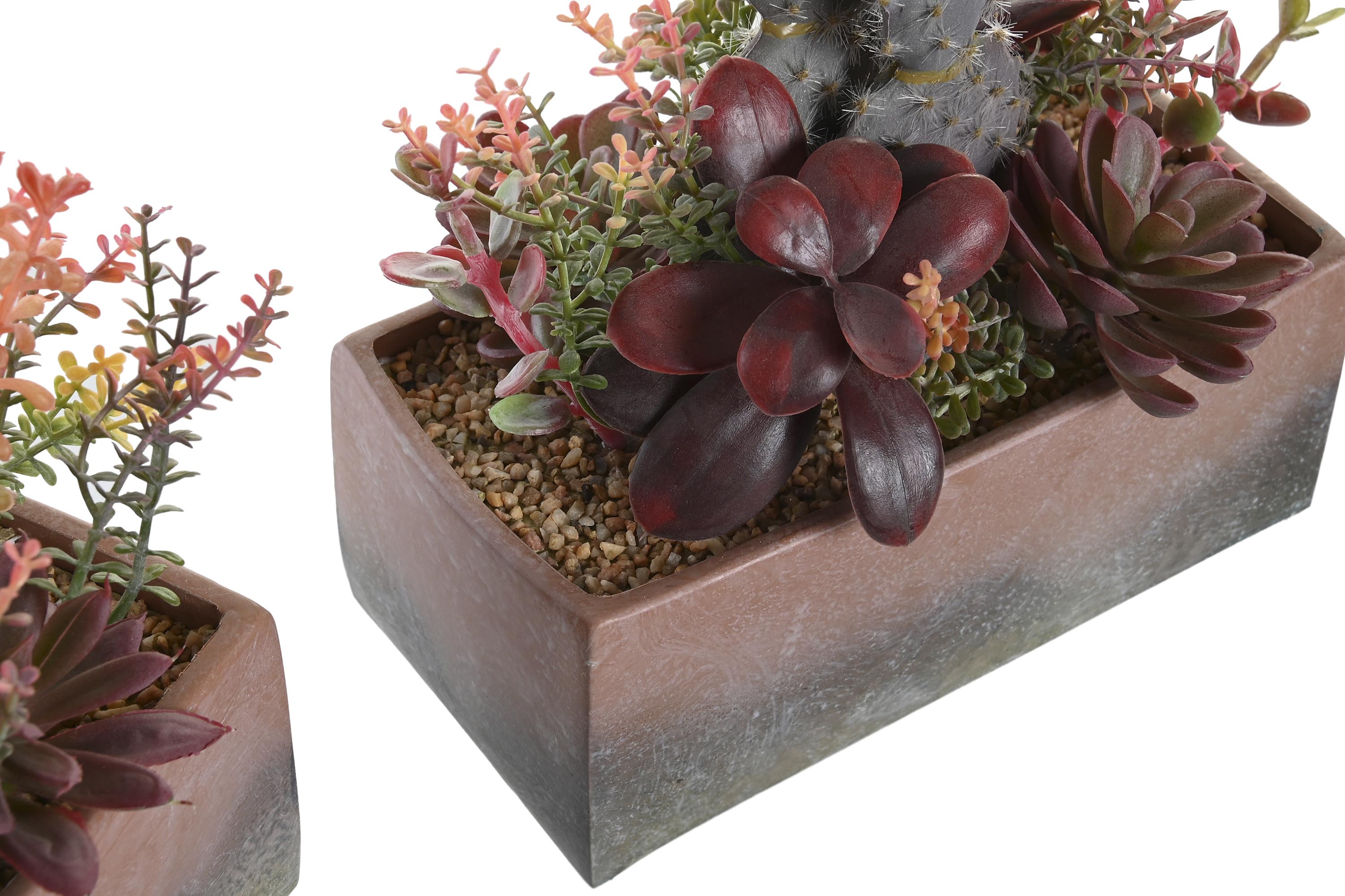 PACK DE 2 PLANTA PP EVA 19X9X22 CACTUS 2 SURT.