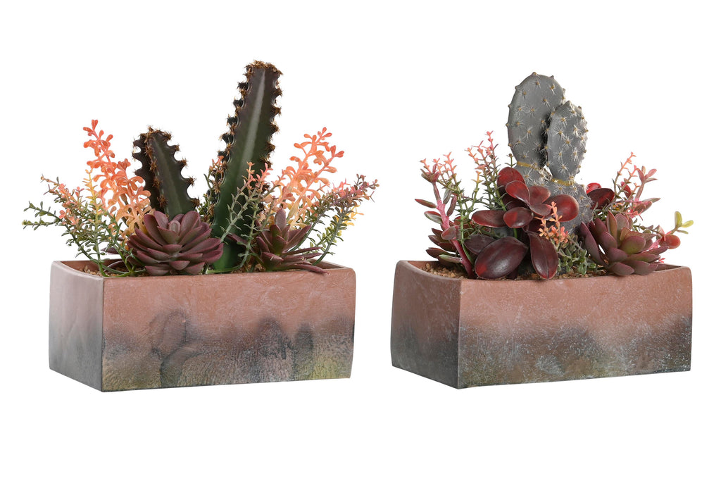 PACK DE 2 PLANTA PP EVA 19X9X22 CACTUS 2 SURT.