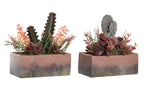 PACK DE 2 PLANTA PP EVA 19X9X22 CACTUS 2 SURT.