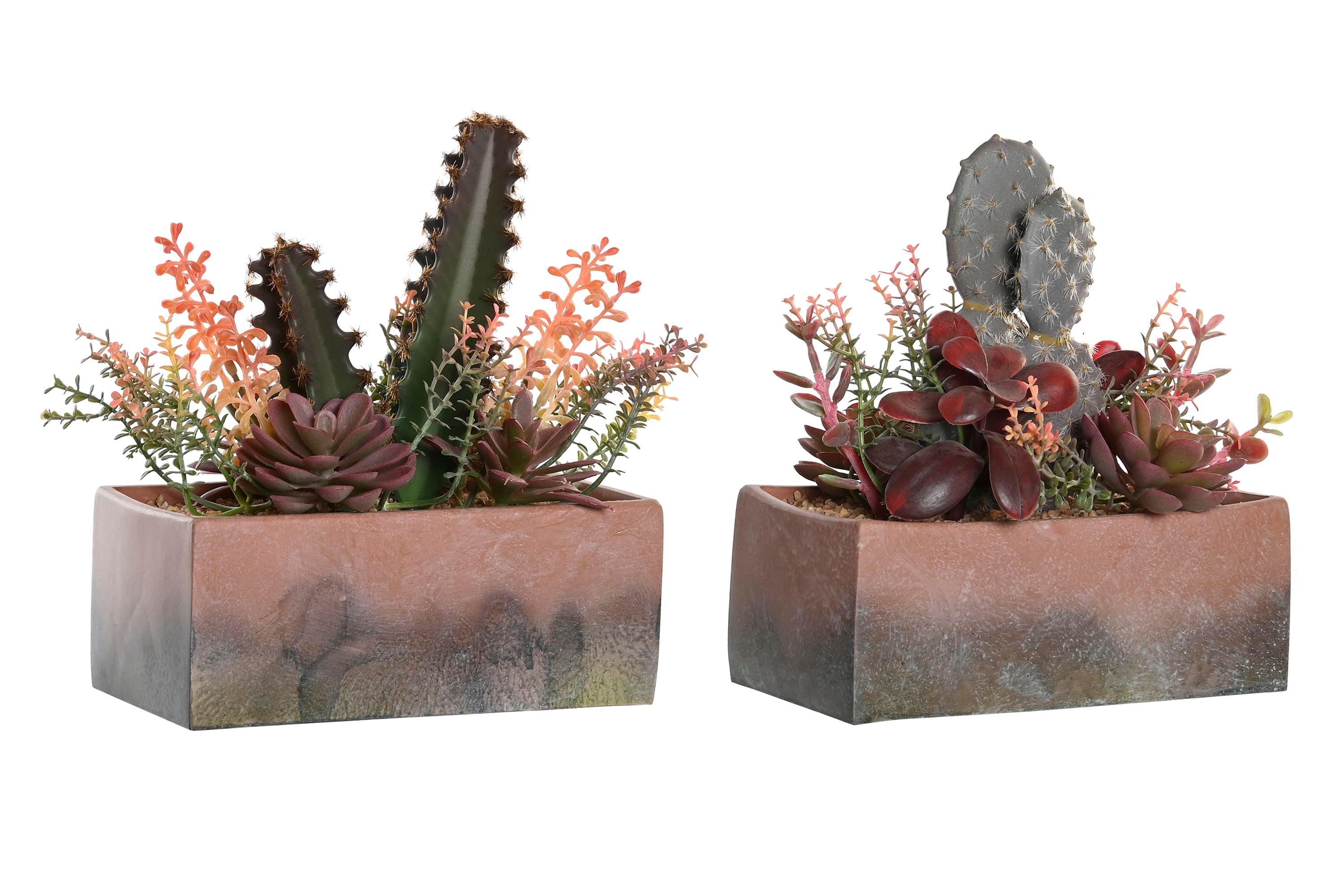 PACK DE 2 PLANTA PP EVA 19X9X22 CACTUS 2 SURT.