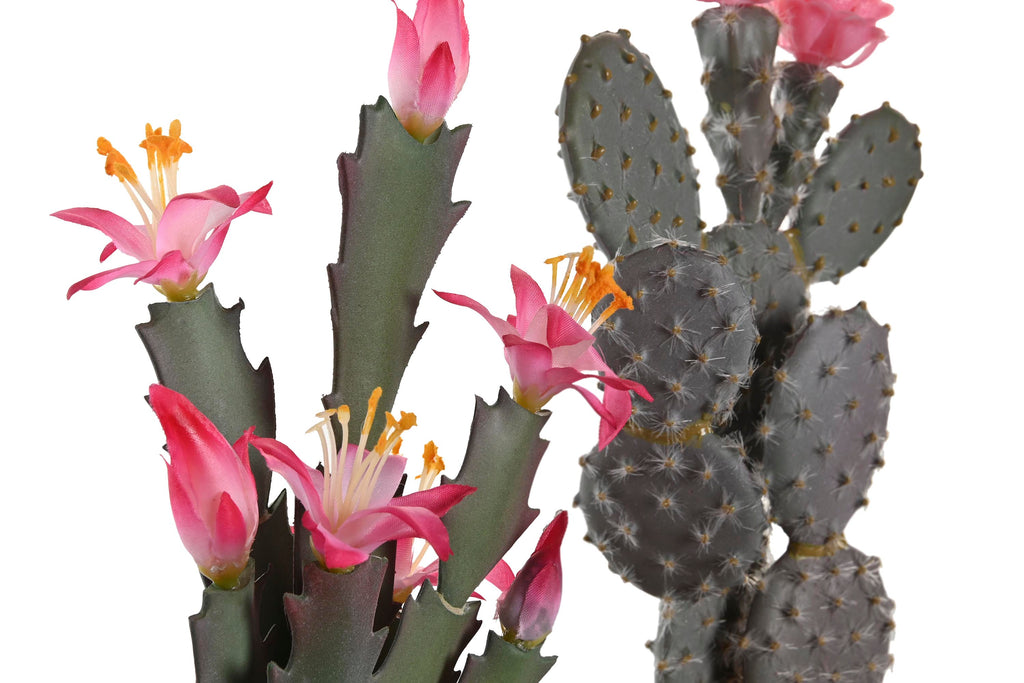 PACK DE 4 PLANTA PP EVA 15X15X29 CACTUS 2 SURT.