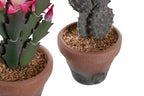 PACK DE 4 PLANTA PP EVA 15X15X29 CACTUS 2 SURT.