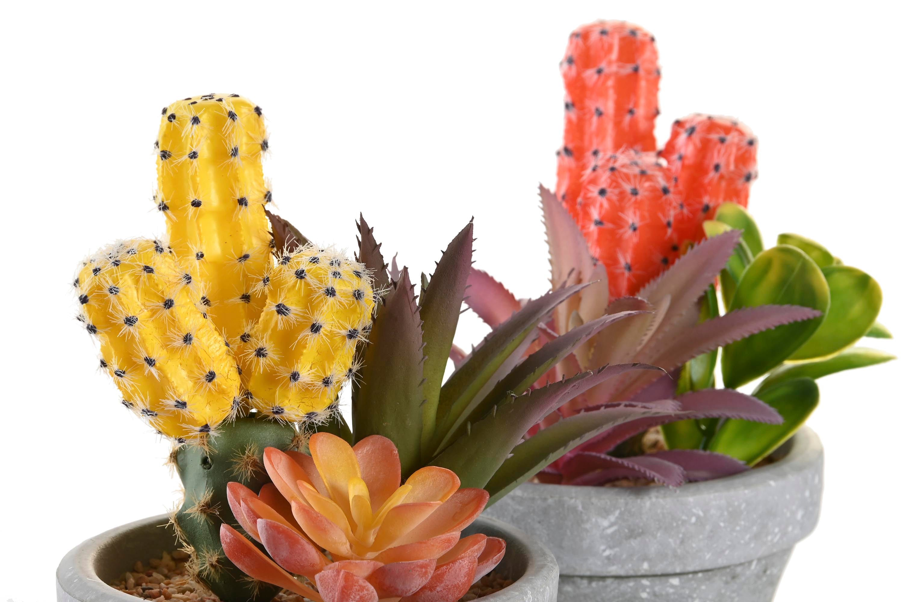 PACK DE 4 PLANTA PP EVA 12X11X19 CACTUS 2 SURT.