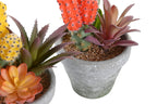 PACK DE 4 PLANTA PP EVA 12X11X19 CACTUS 2 SURT.