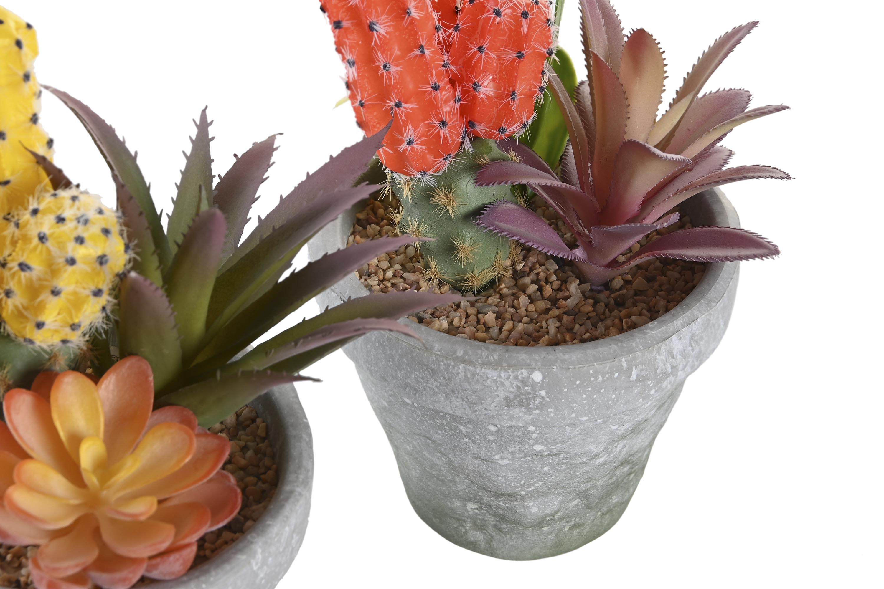 PACK DE 4 PLANTA PP EVA 12X11X19 CACTUS 2 SURT.