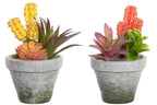 PACK DE 4 PLANTA PP EVA 12X11X19 CACTUS 2 SURT.