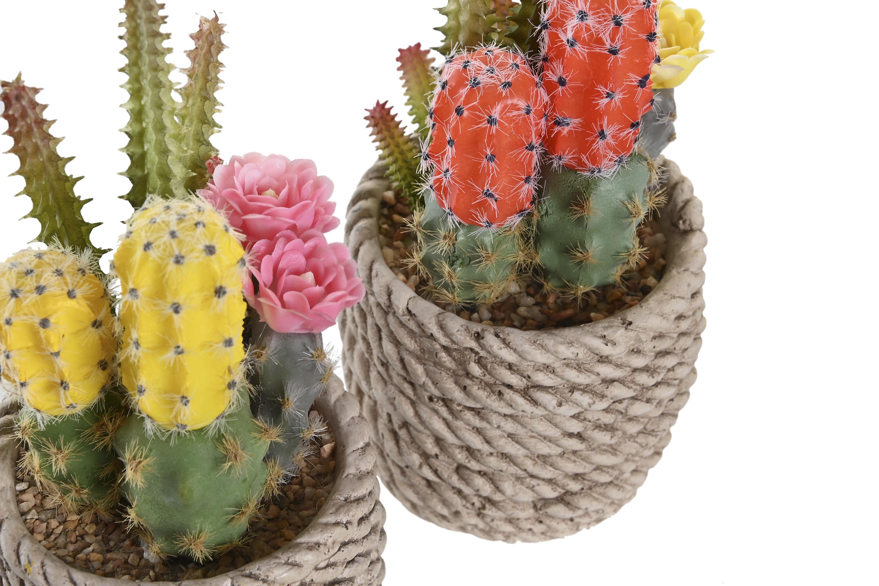 PACK DE 6 PLANTA PE EVA 9,5X9X18 CACTUS 2 SURT.