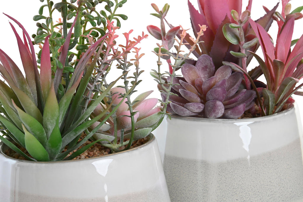 PACK DE 4 PLANTA PP ESPUMA 17X15,5X24 2 SURT.