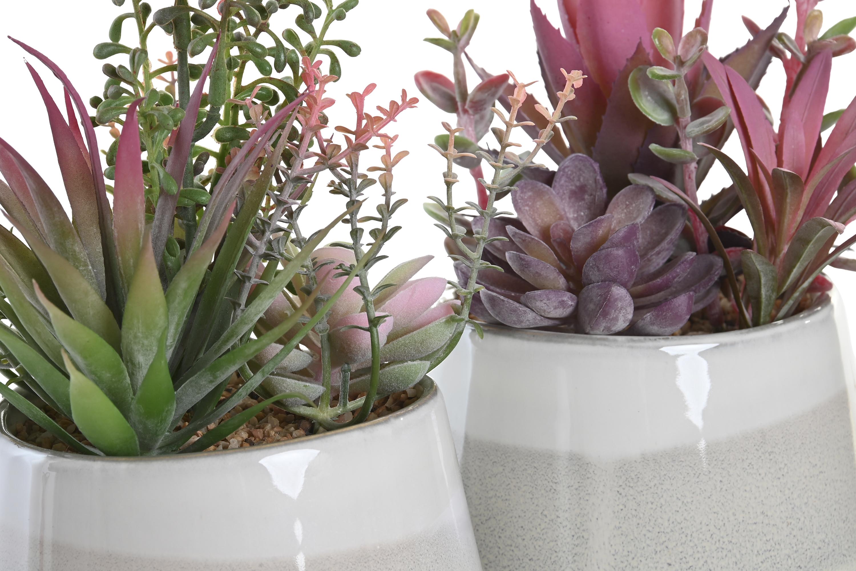 PACK DE 4 PLANTA PP ESPUMA 17X15,5X24 2 SURT.