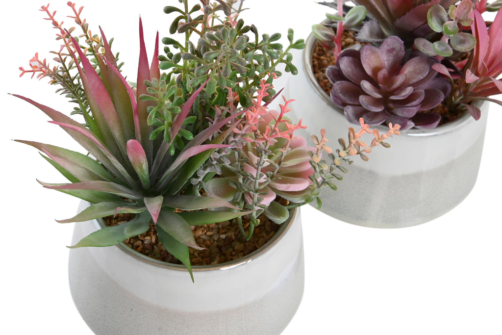 PACK DE 4 PLANTA PP ESPUMA 17X15,5X24 2 SURT.