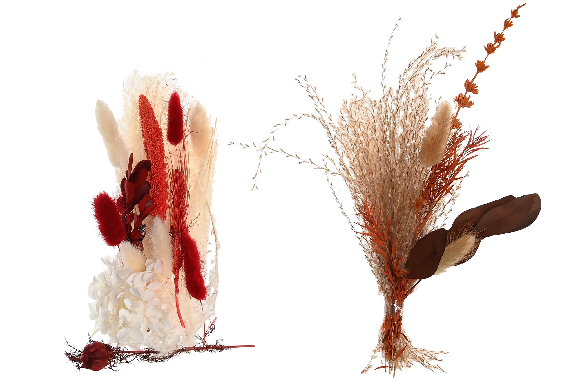 PACK DE 6 RAMO FLOR SECA 9,5X4,5X22,5 2 SURT.