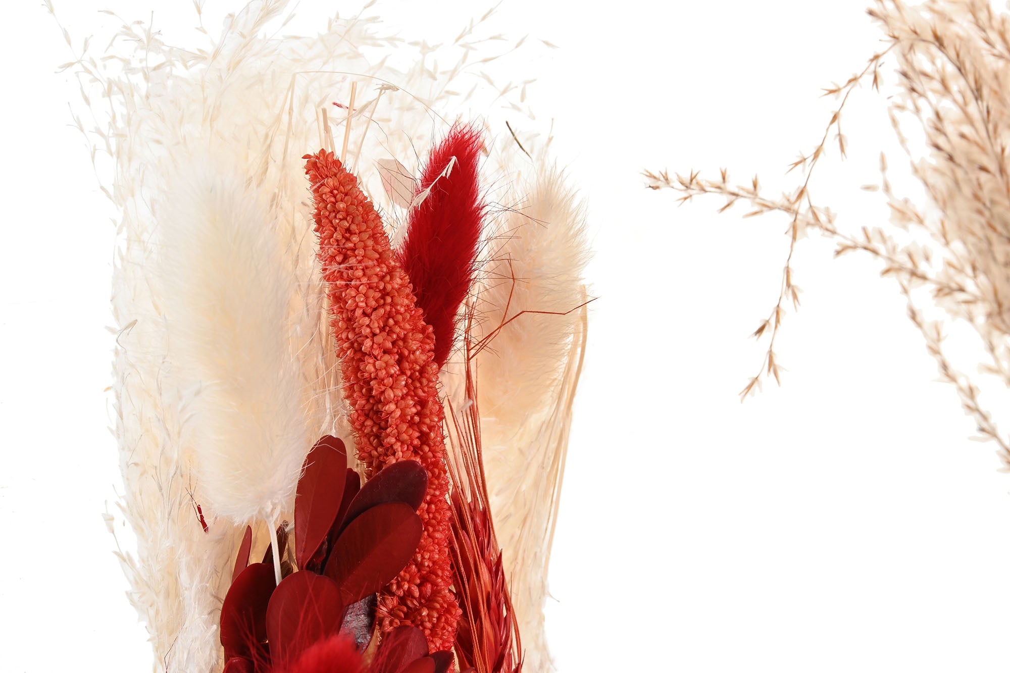 PACK DE 6 RAMO FLOR SECA 9,5X4,5X22,5 2 SURT.