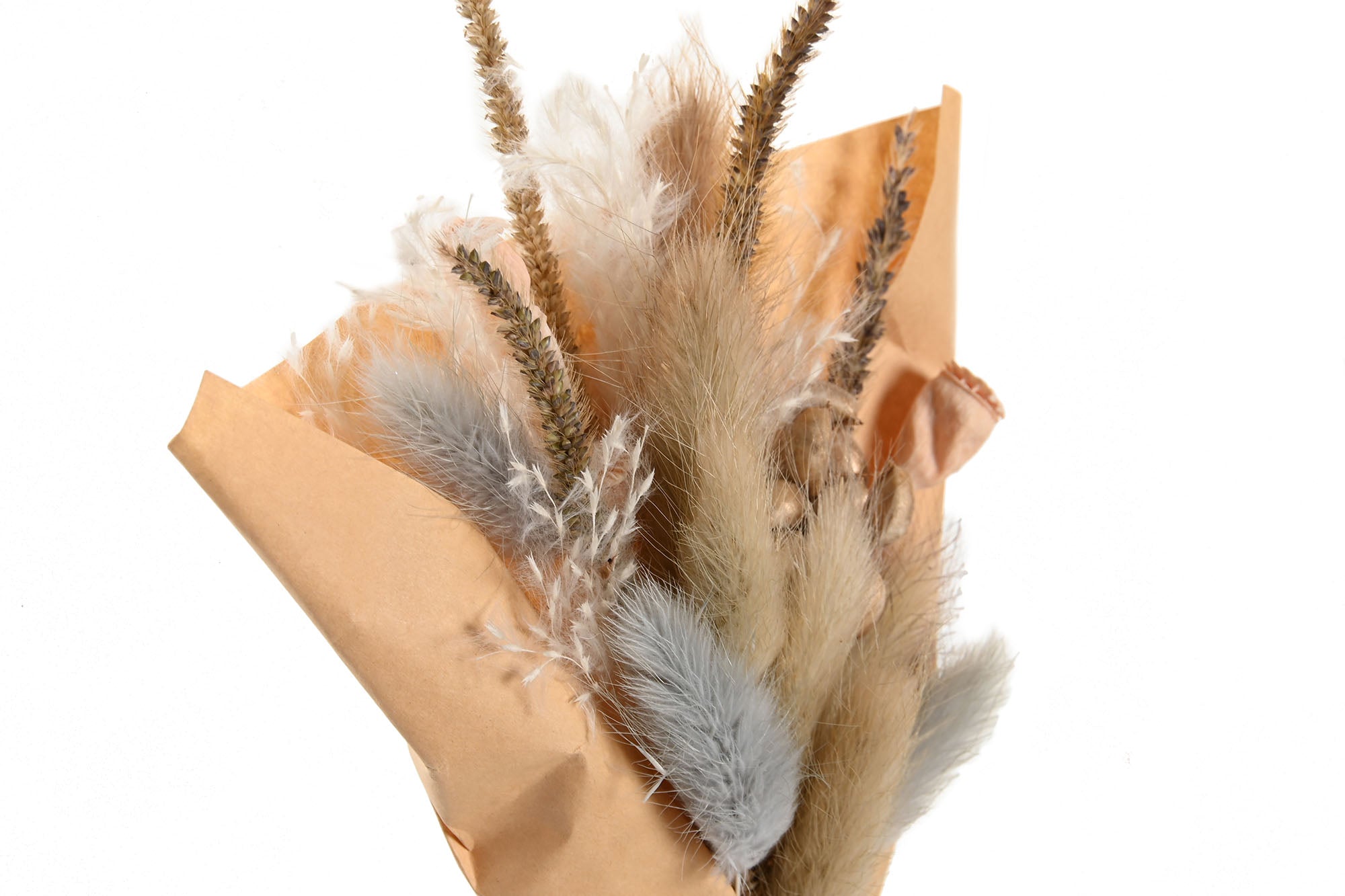 PACK DE 6 RAMO FLOR SECA 10X5X18 2 SURT.