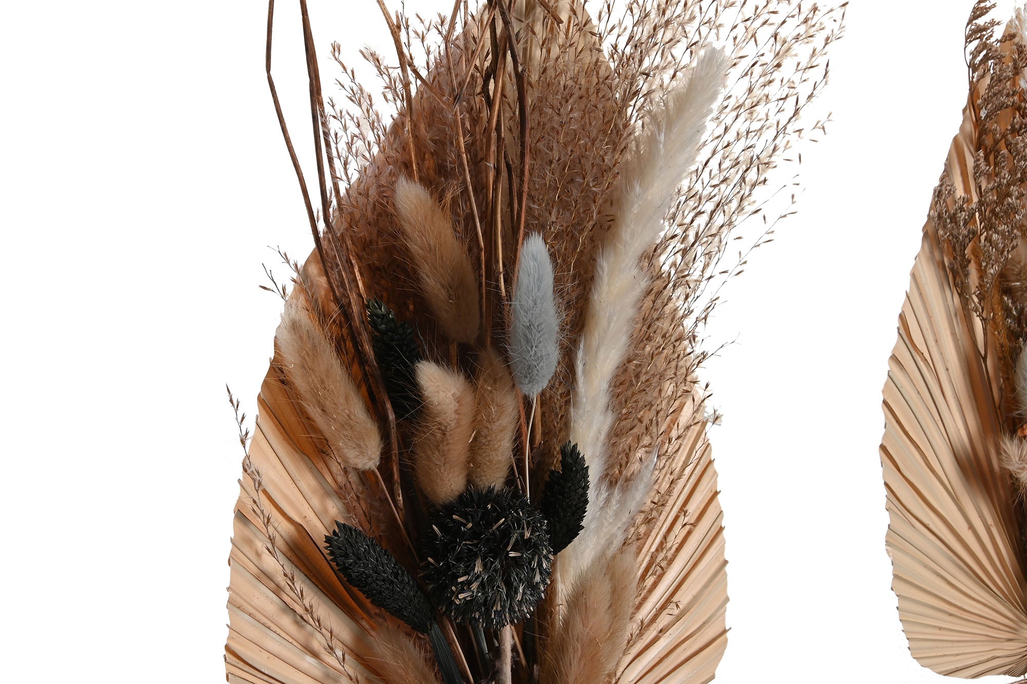 PACK DE 4 RAMO FLOR SECA 20X10X50 2 SURT.