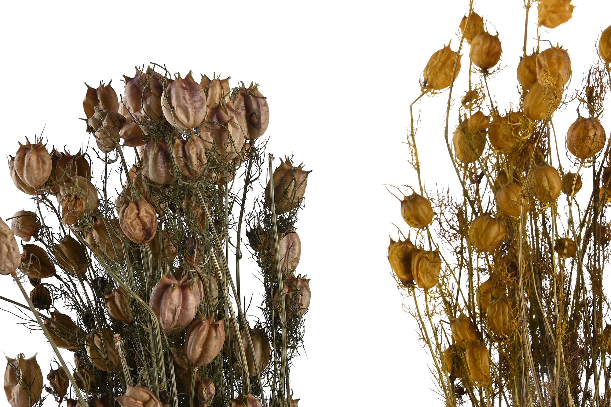 PACK DE 6 RAMO FLOR SECA 20X20X70 2 SURT.