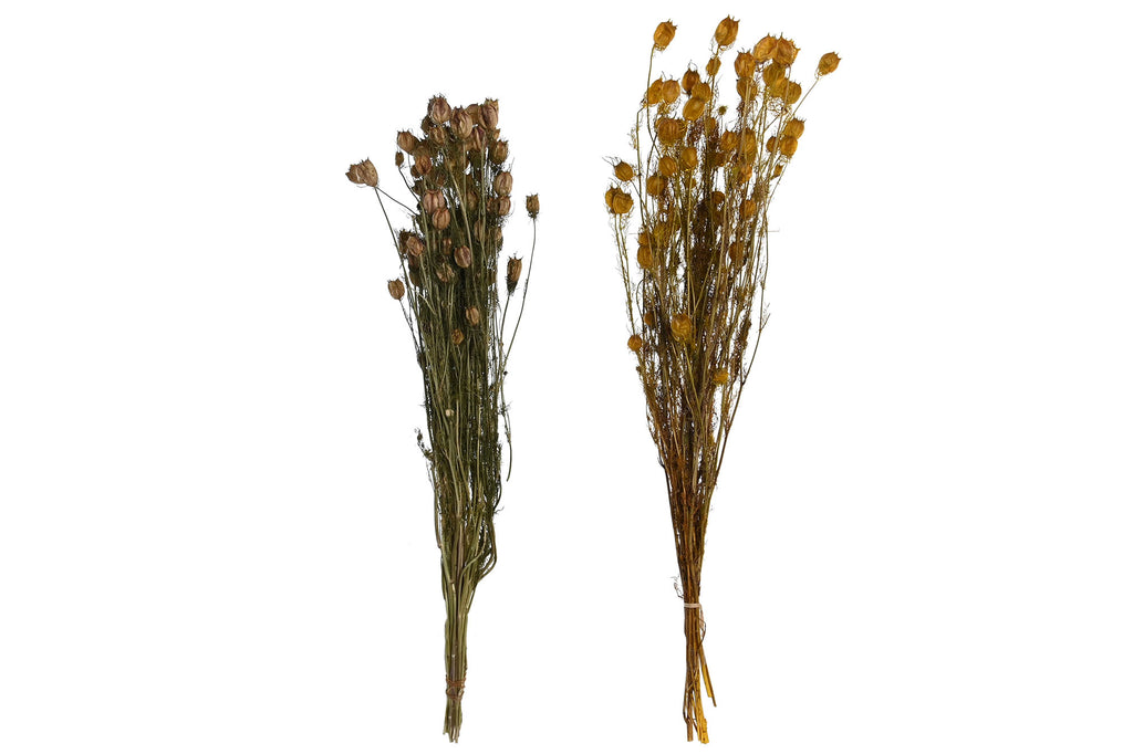 PACK DE 6 RAMO FLOR SECA 20X20X70 2 SURT.