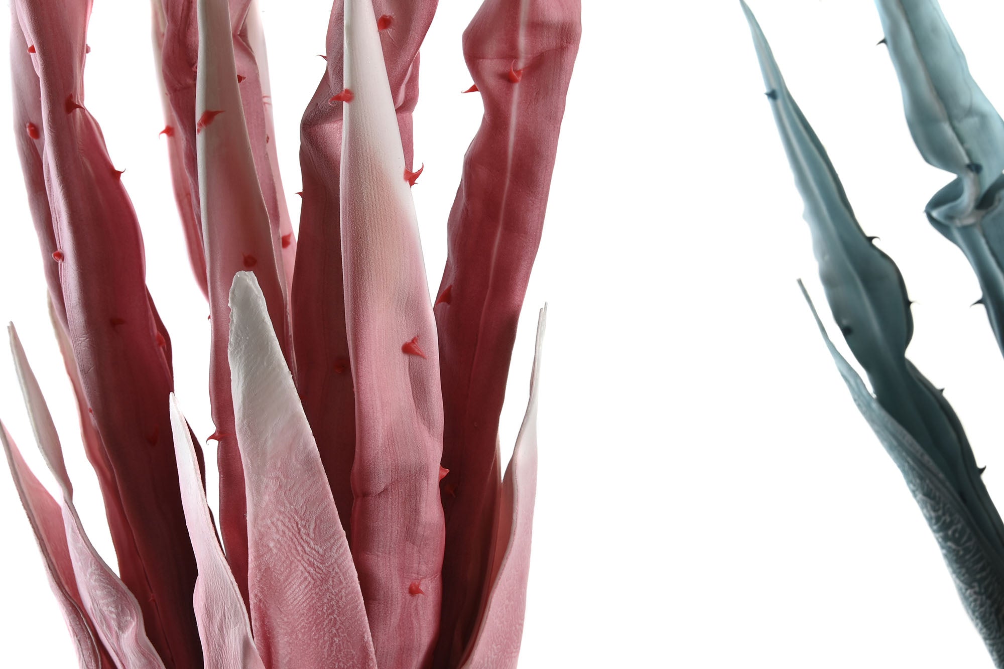 PACK DE 6 RAMA EVA 35X10X86 2 SURT.