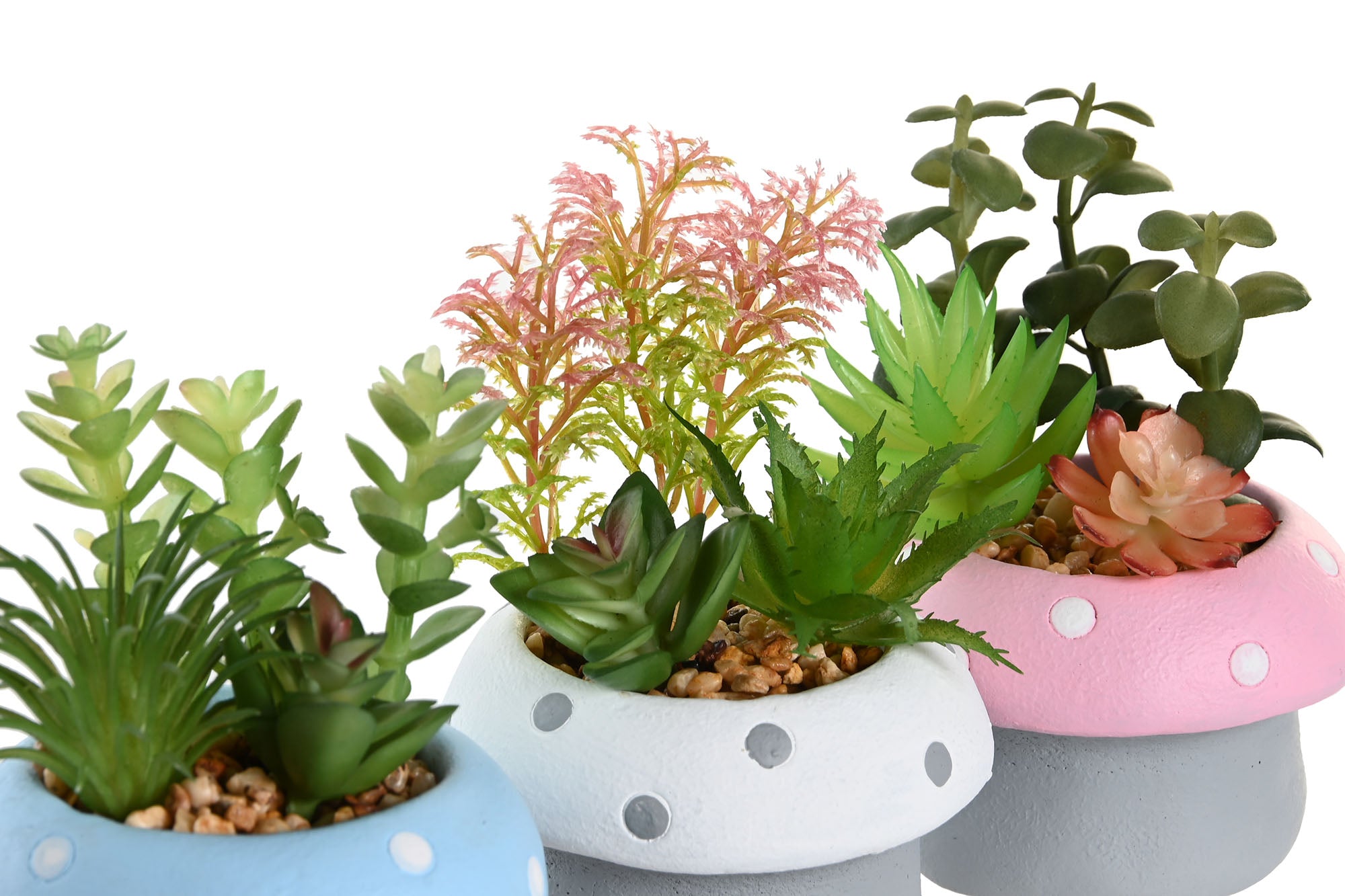 PACK DE 12 PLANTA CEMENTO PE 9X9X11,5 SETA 3 SURT.