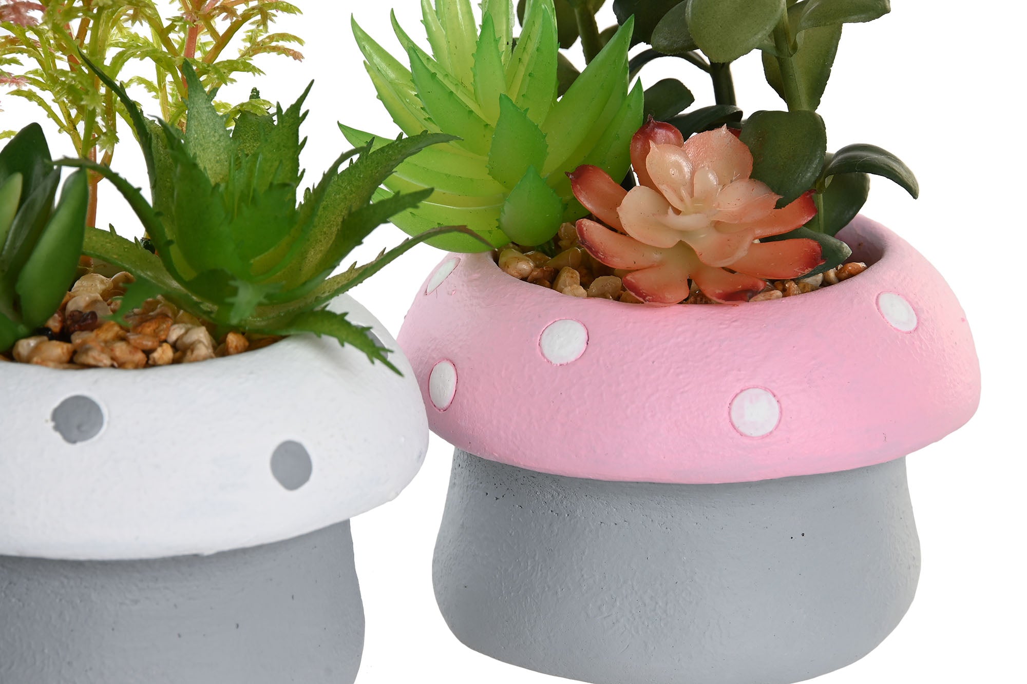 PACK DE 12 PLANTA CEMENTO PE 9X9X11,5 SETA 3 SURT.