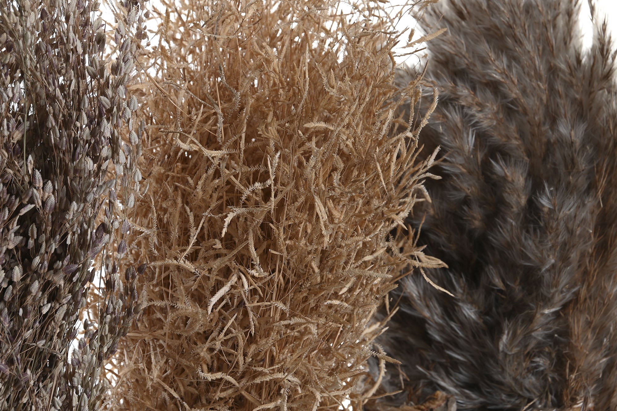 PACK DE 12 PLANTA FLOR SECA 18X18X40 RAMO 3 SURT.