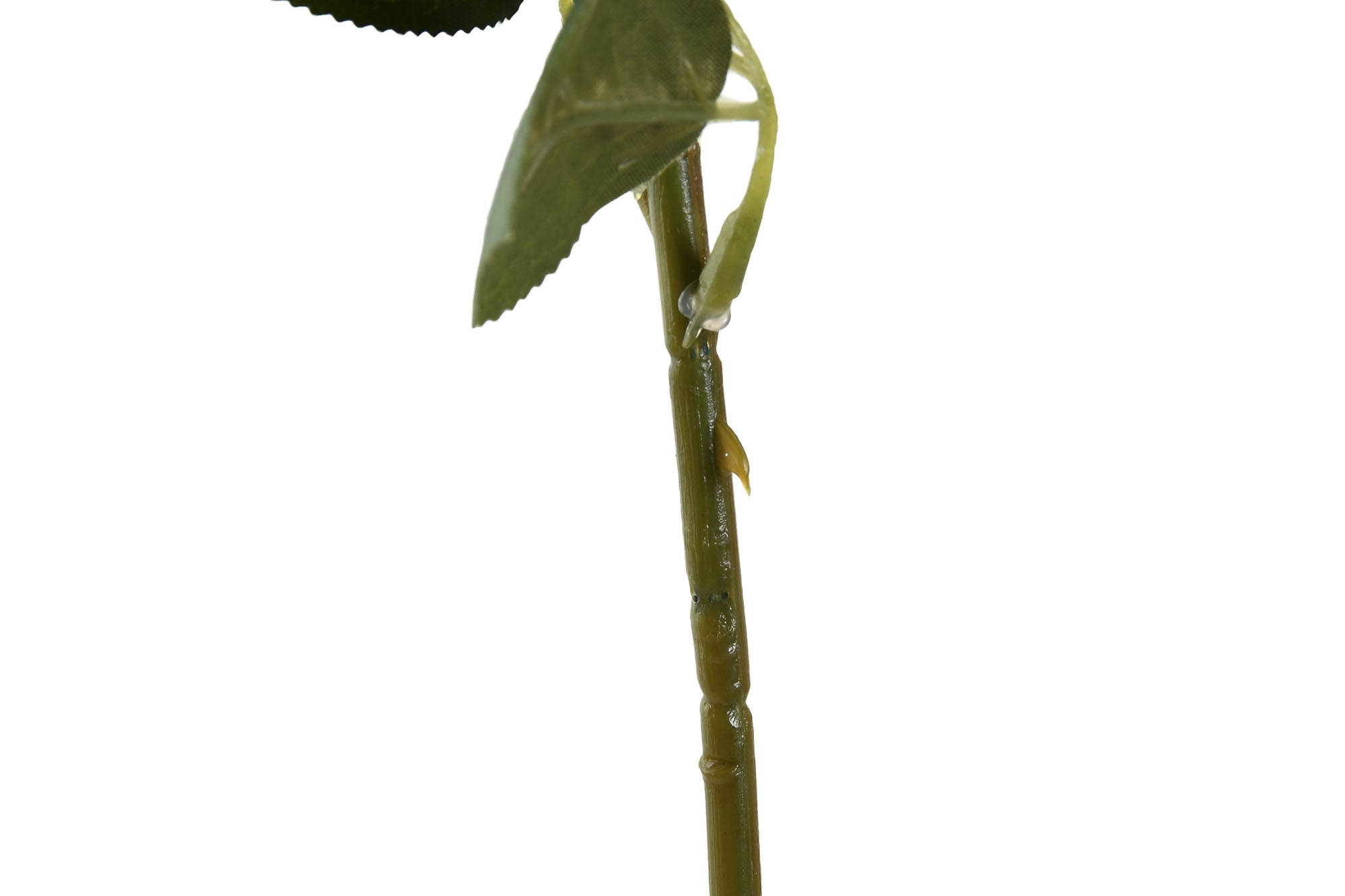 PACK DE 24 FLOR POLIESTER PE 20X20X51 ROSA 4 SURT.