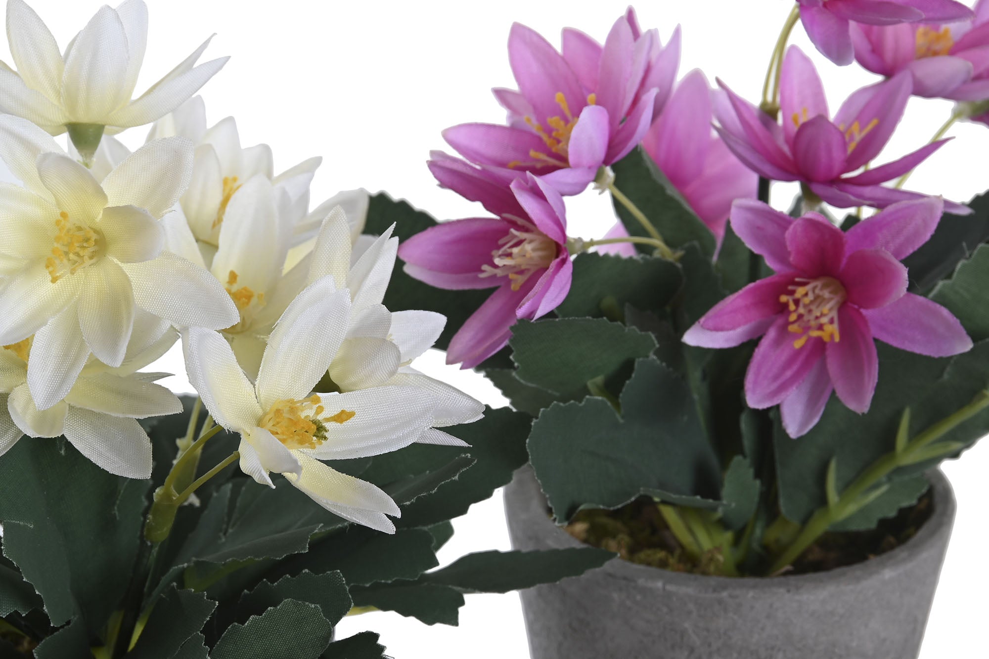 PACK DE 12 PLANTA POLIESTER PE 8X8X18 LOTUS 2 SURT.