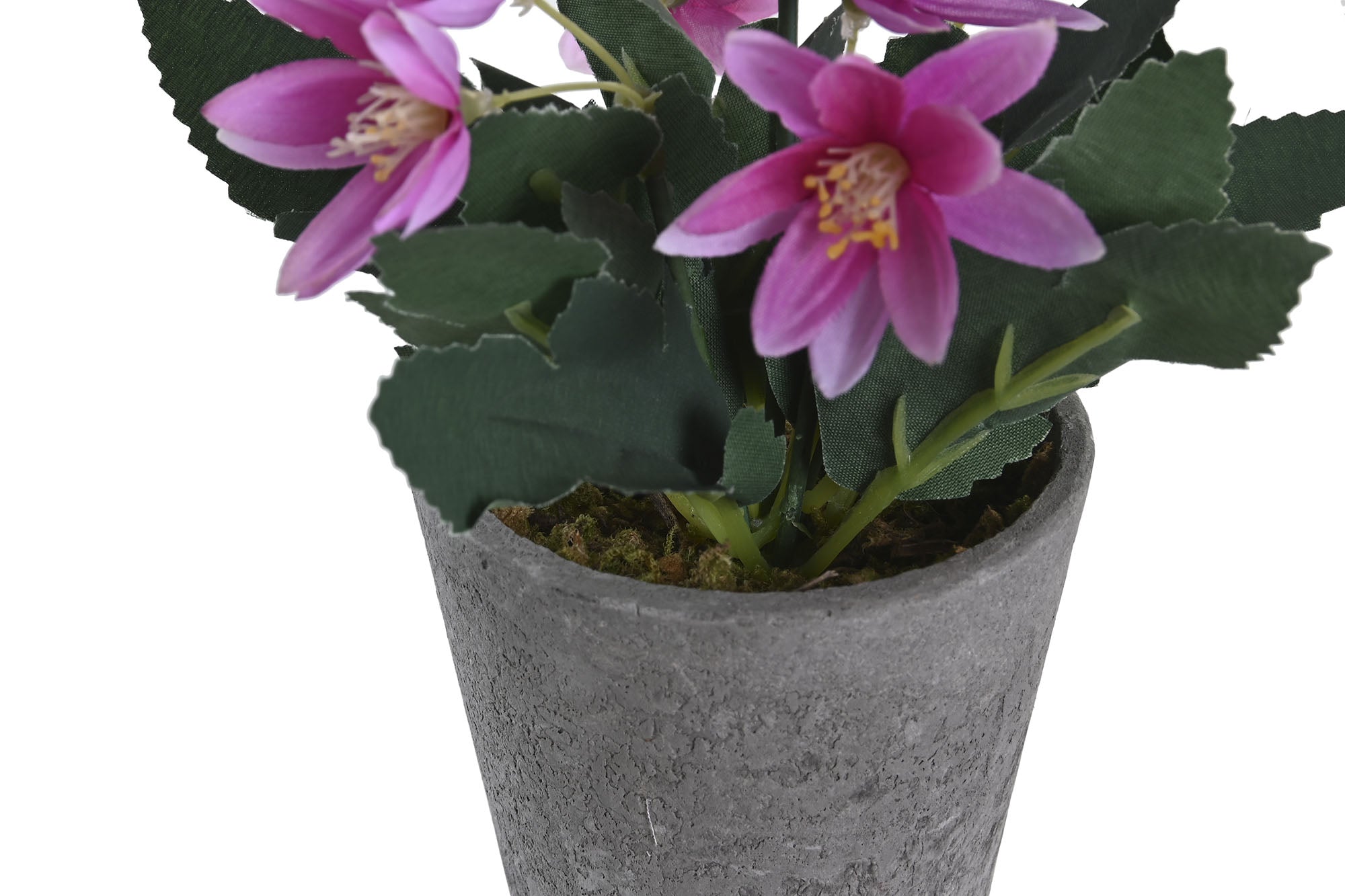 PACK DE 12 PLANTA POLIESTER PE 8X8X18 LOTUS 2 SURT.