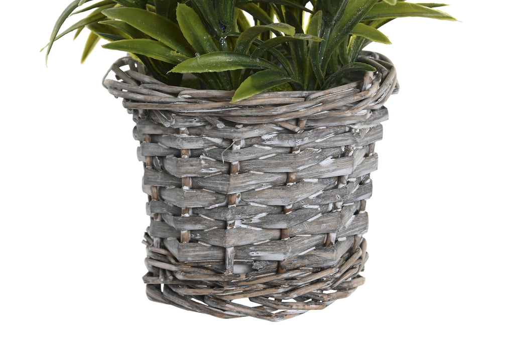 PACK DE 12 PLANTA PE MADERA 7X7X20 LAVANDA 3 SURT.