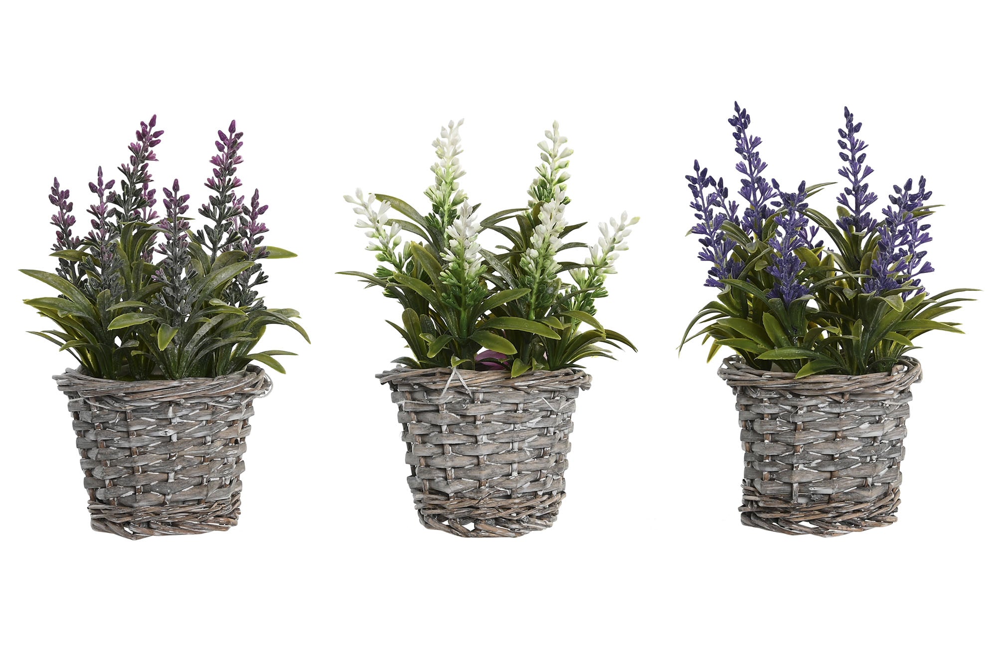 PACK DE 12 PLANTA PE MADERA 7X7X20 LAVANDA 3 SURT.