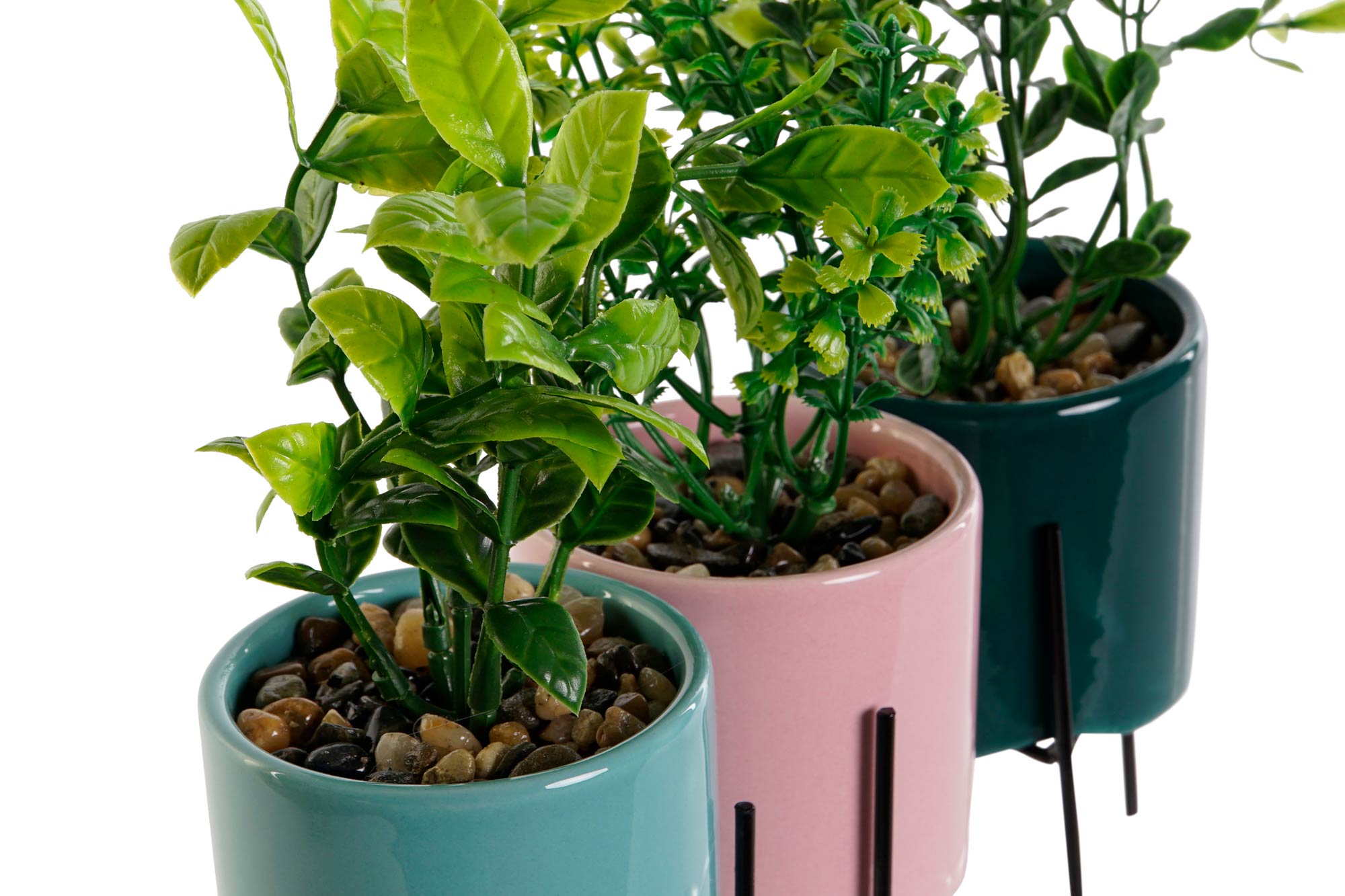 PACK DE 6 PLANTA GRES PE 7X7X22 3 SURT.