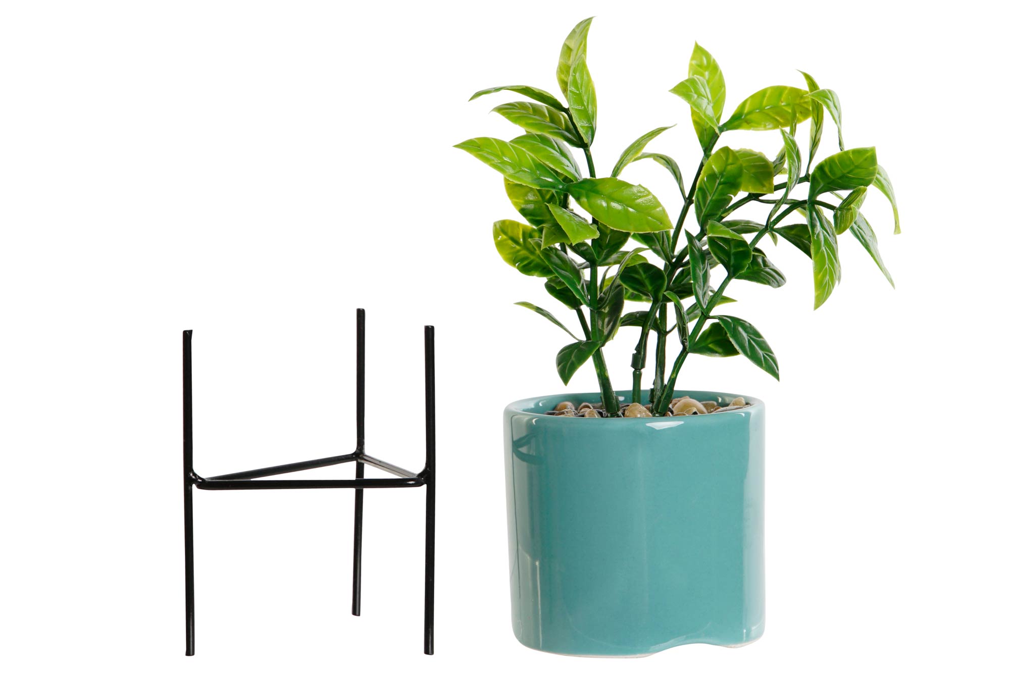 PACK DE 6 PLANTA GRES PE 7X7X22 3 SURT.