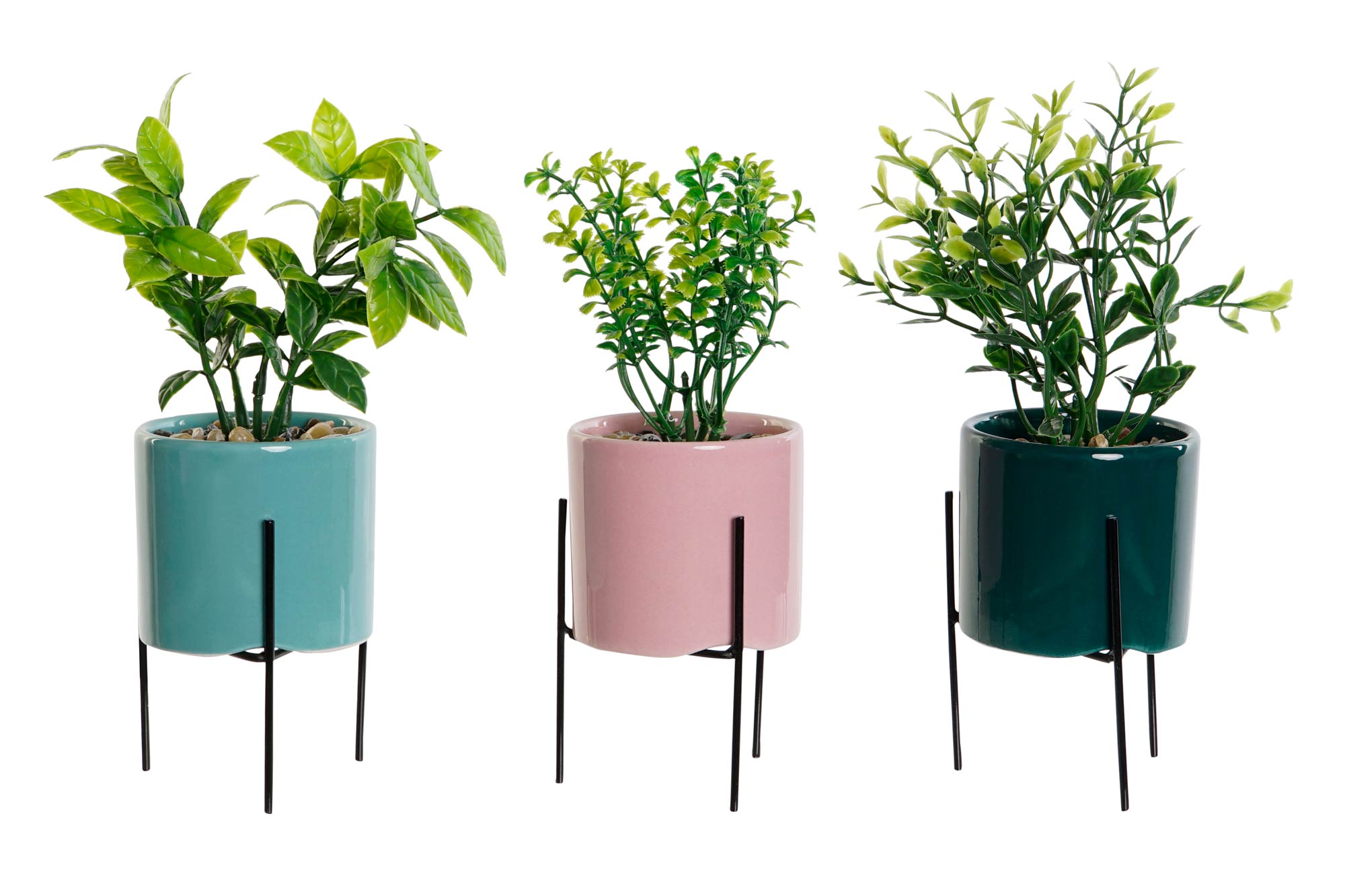 PACK DE 6 PLANTA GRES PE 7X7X22 3 SURT.