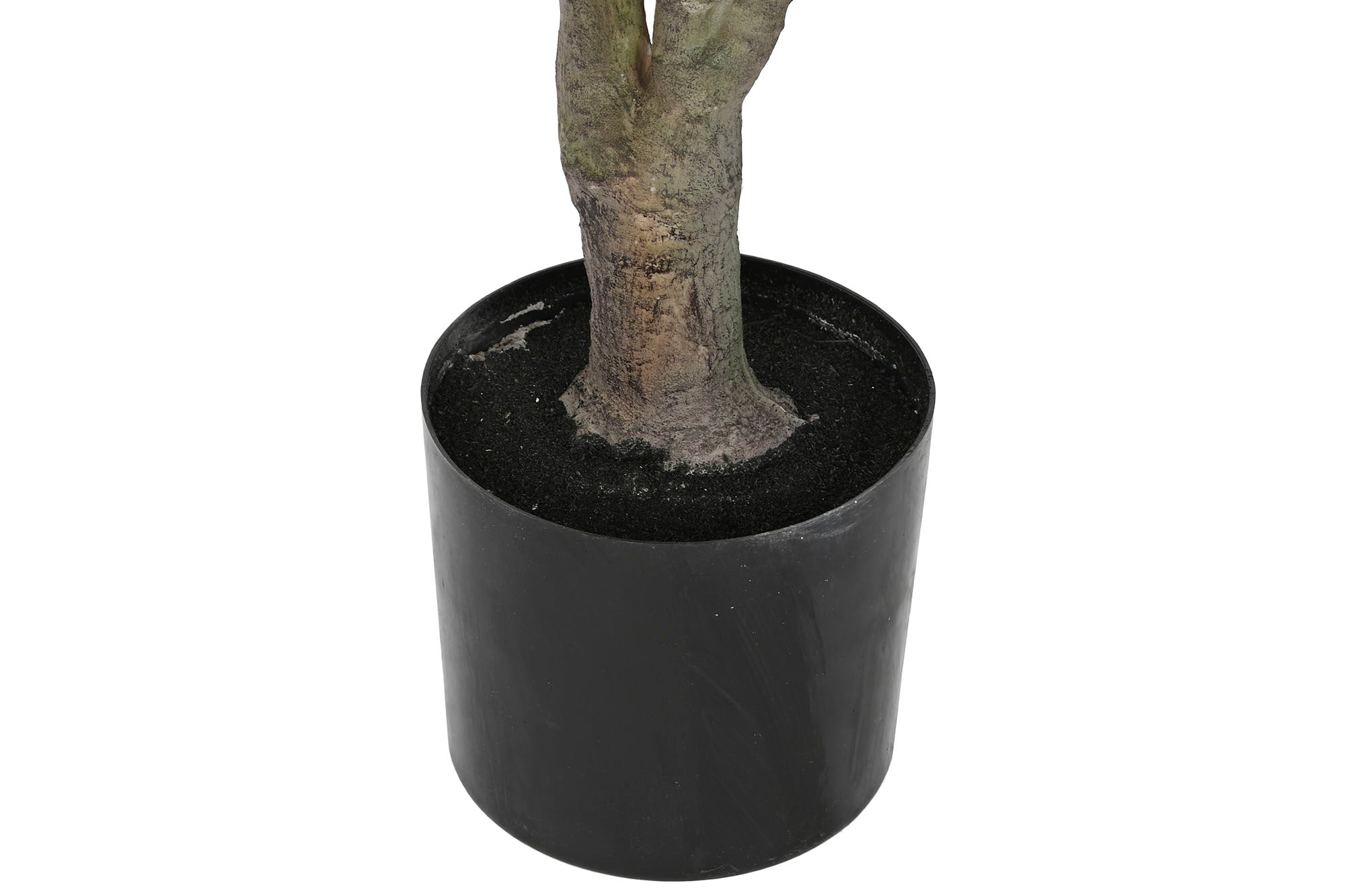 PACK DE 2 PLANTA PE PP 82X86X218 VERDE