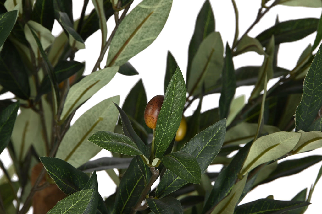 PACK DE 2 ARBOL PE PP 60X60X122 OLIVO VERDE