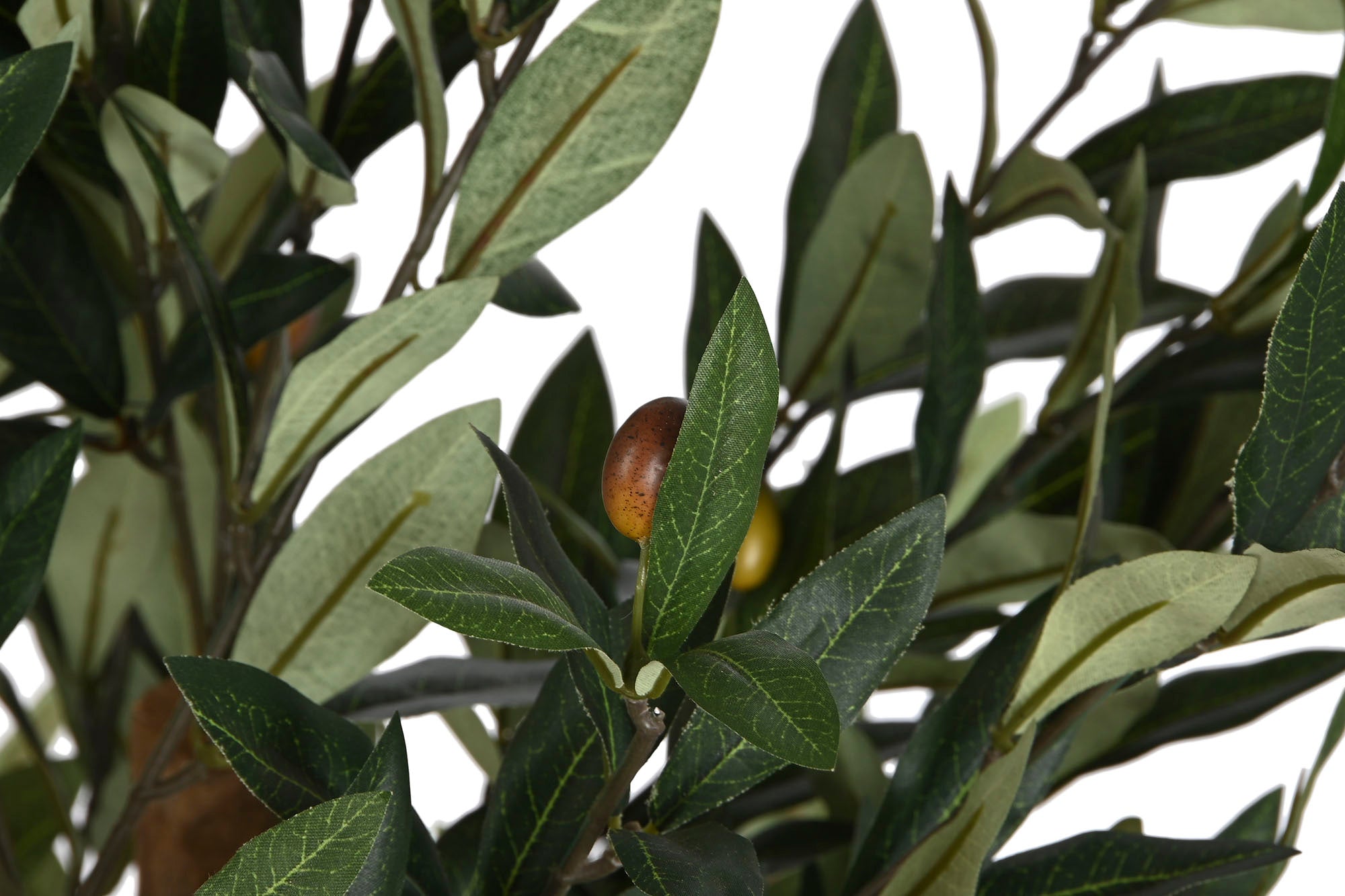 PACK DE 2 ARBOL PE PP 60X60X122 OLIVO VERDE