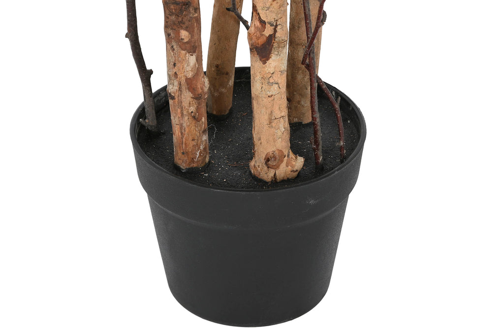 PACK DE 2 ARBOL PE PP 60X60X122 OLIVO VERDE